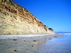 Black's Beach Shoreline